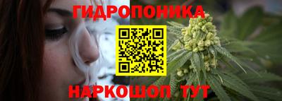гашик Волжск